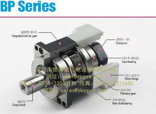 brato解剖圖 brato解剖圖